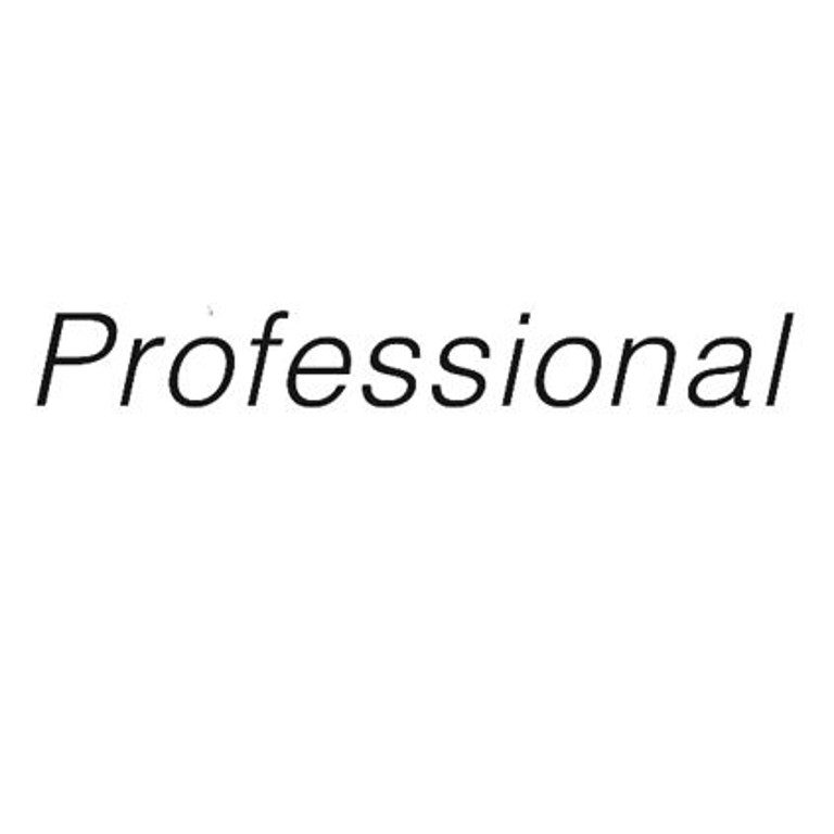 Logo Professional
